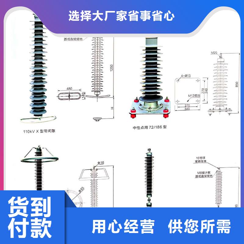 氧化锌避雷器-高压限流熔断器产品细节多家仓库发货