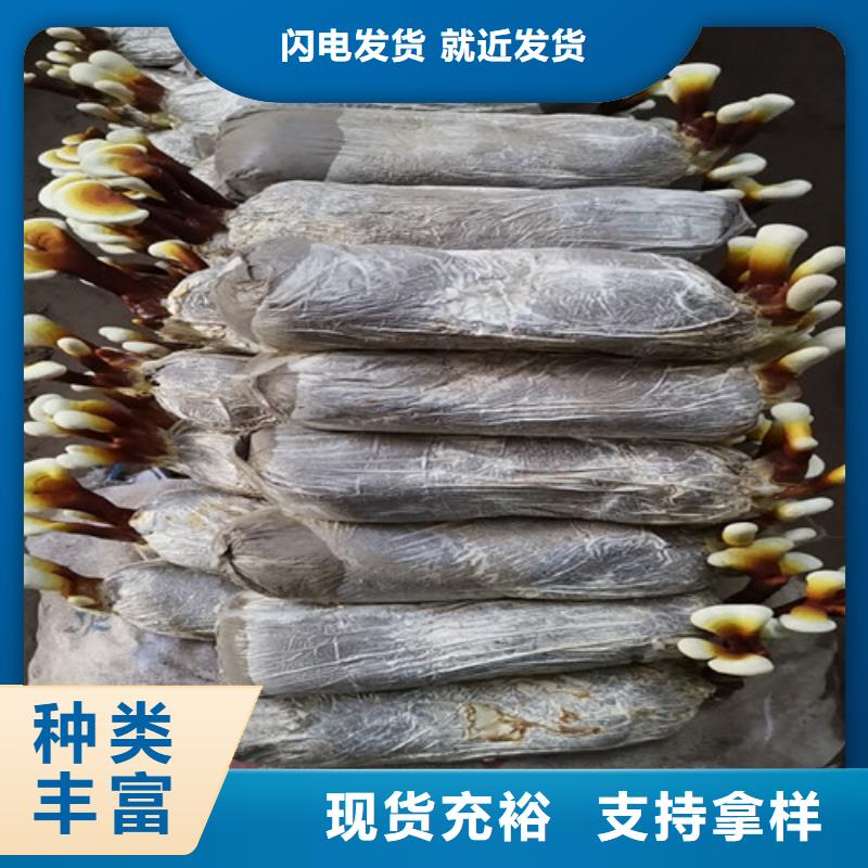 常年供应
灵芝粉
-价格优惠好产品价格低