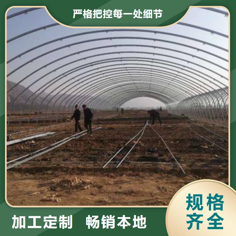 盘龙连栋大棚管源头厂家2025已更新规格齐全