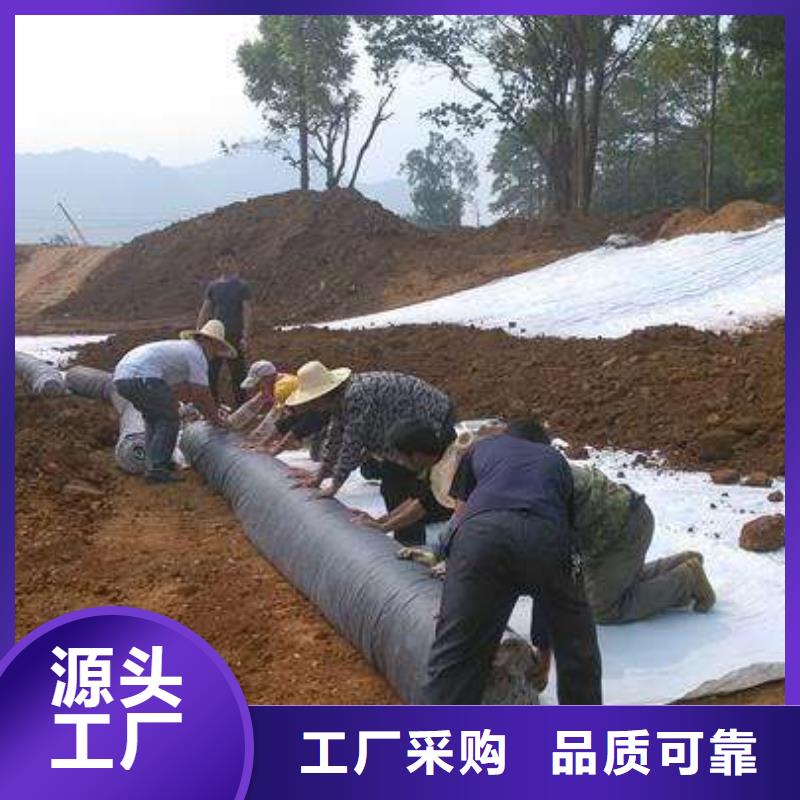 膨润土防水毯【土工格室】买的是放心{当地}生产厂家