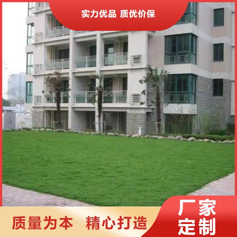 【植草格】PP焊接土工格栅保障产品质量产地厂家直销