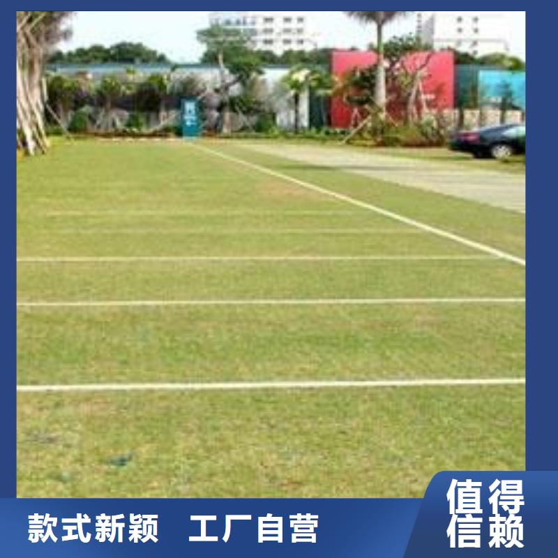 【植草格】三维植被网多年厂家可靠【本地】品牌