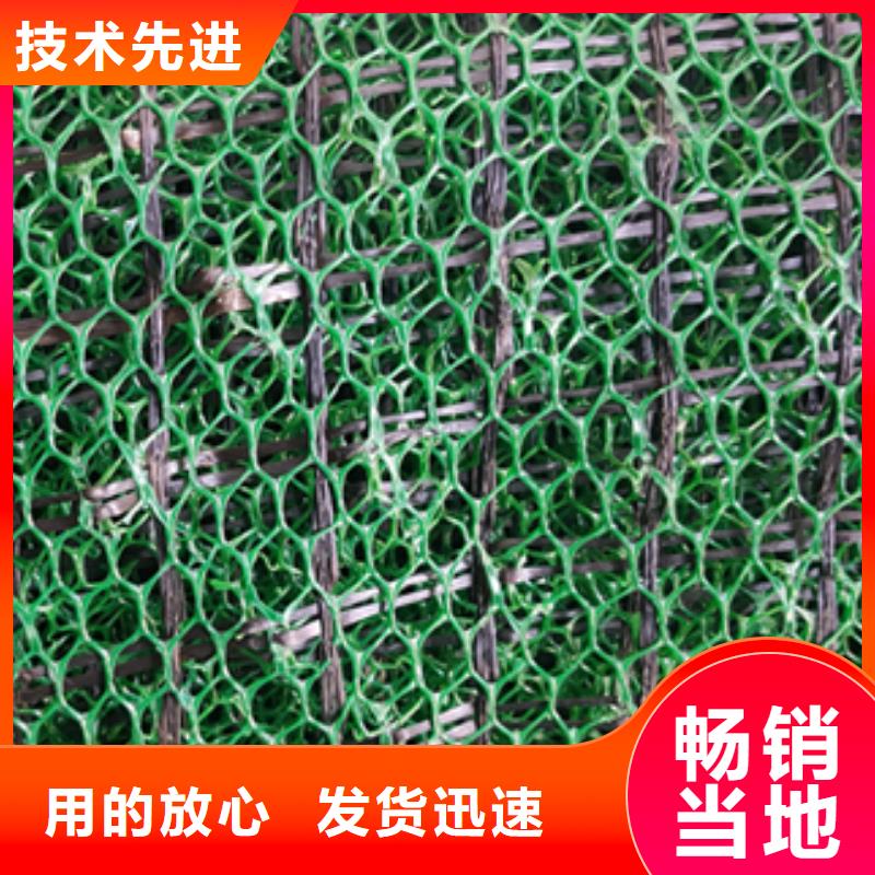 三维植被网养护土工布产地工厂[本地]供应商