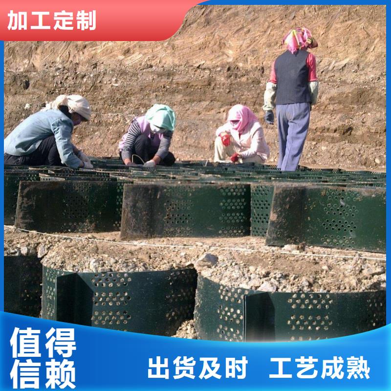 土工格室钢塑土工格栅多年厂家可靠当地制造商