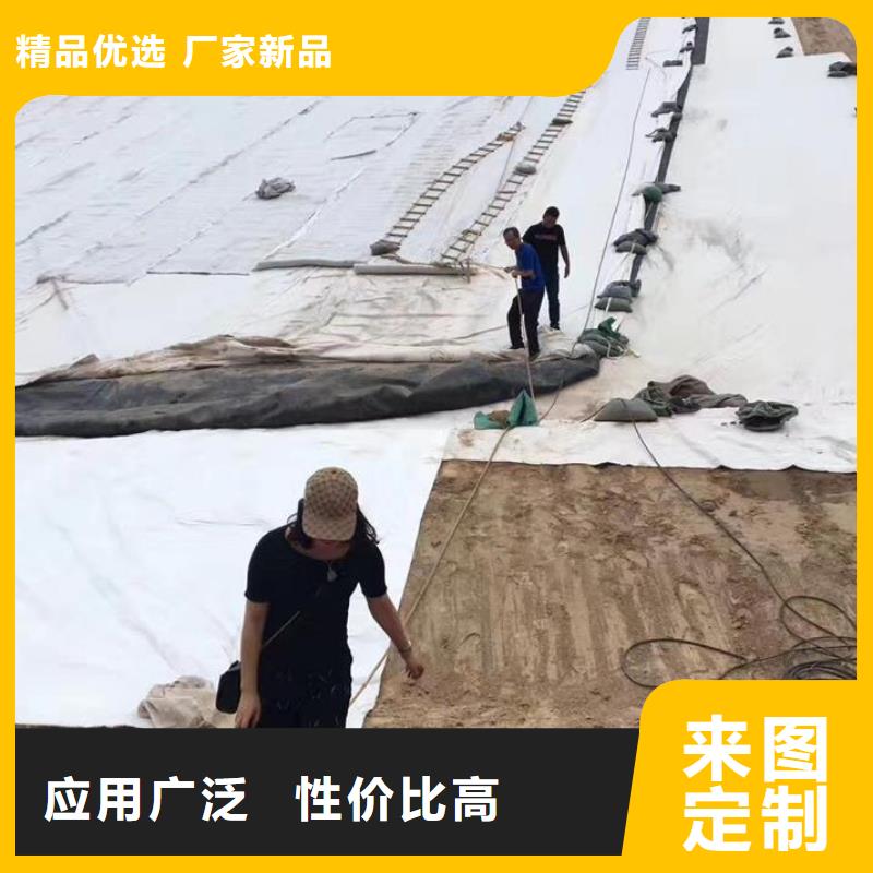 三维复合排水网【凸结点钢塑土工格栅】多年厂家可靠同城货源