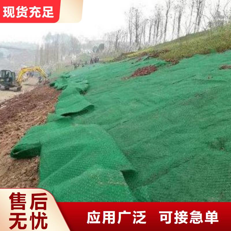 三维植被网双向塑料格栅懂您所需当地天博体育网页版登陆链接