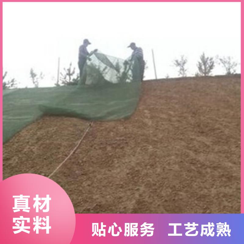 【三维植被网单向塑料格栅选择大厂家省事省心】当地厂家