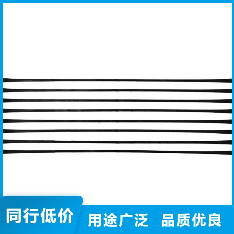 【单向拉伸塑料格栅三维植被网支持批发零售】本地制造商