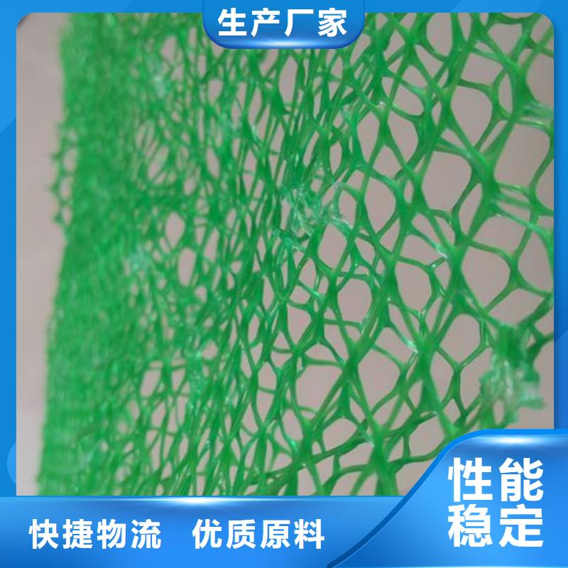 三维植被网护坡土工网专业生产品质保证货源稳定