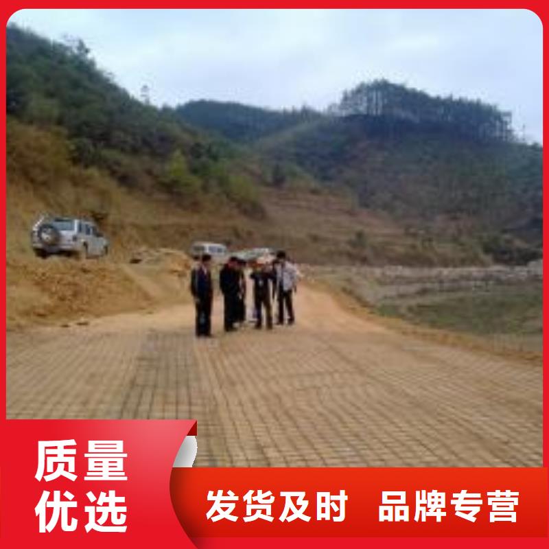 钢塑土工格栅_三维植被网厂家采购海量货源