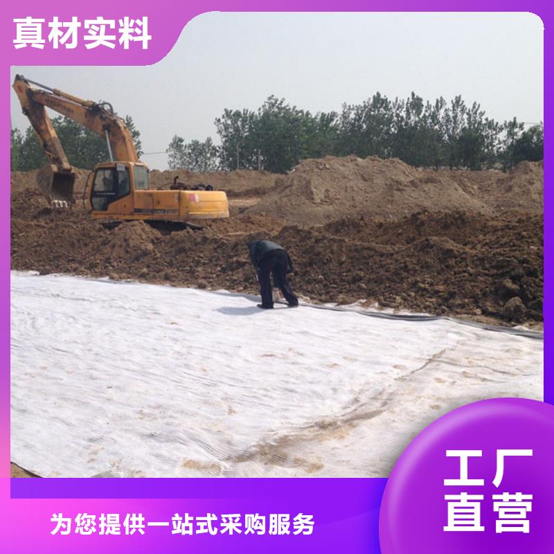 【防水毯】涤纶土工格栅质量看得见厂家经验丰富