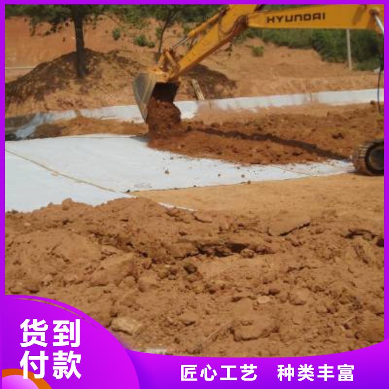 防水毯短丝土工布厂家型号齐全订购