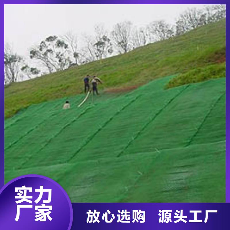 三维植被网钢塑土工格栅一站式供应附近公司