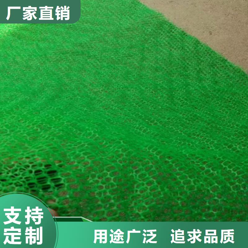 【三维植被网土工布专业完善售后】同城生产商