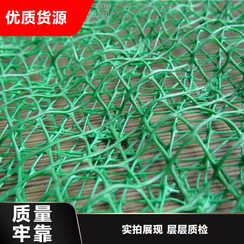 三维植被网护坡土工网产地采购高品质现货销售