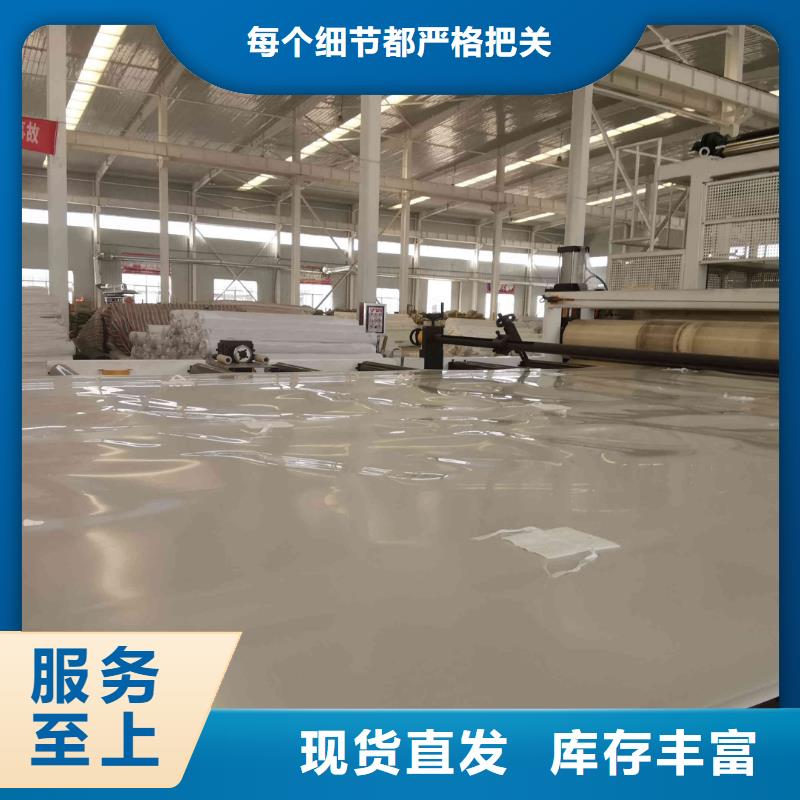 EVA防水板-多向塑料土工格栅品质过硬现货直供