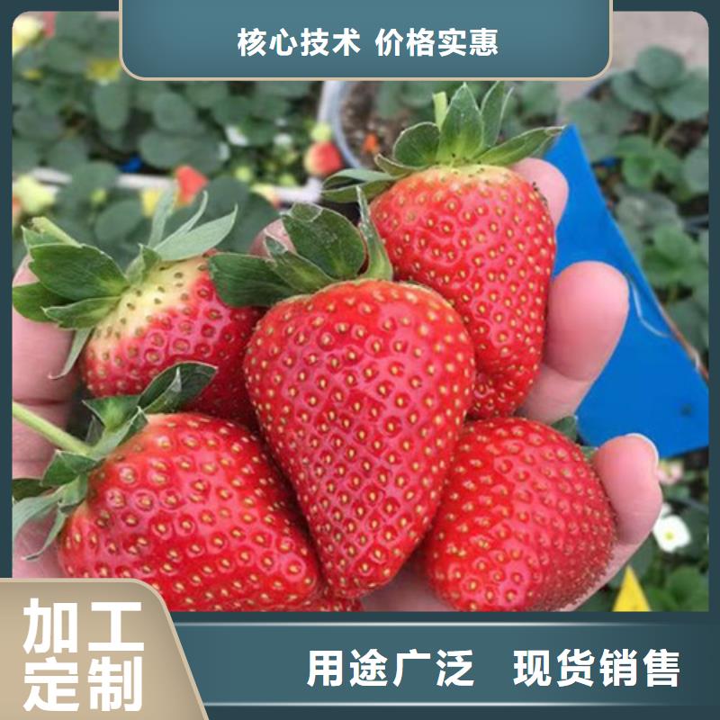 【草莓苗葡萄苗物流配送】保障产品质量