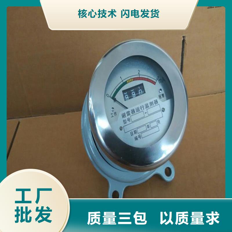 JSY-8L避雷器计数器优质工艺