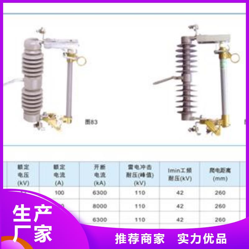 RN3-6/100限流熔断器专业完善售后