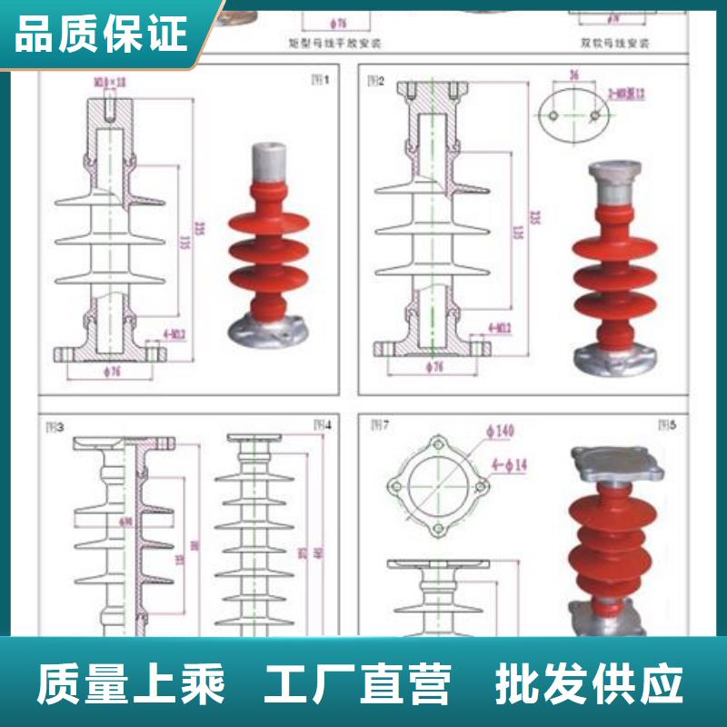 ZSW-63/8-2高压绝缘子樊高电气附近公司