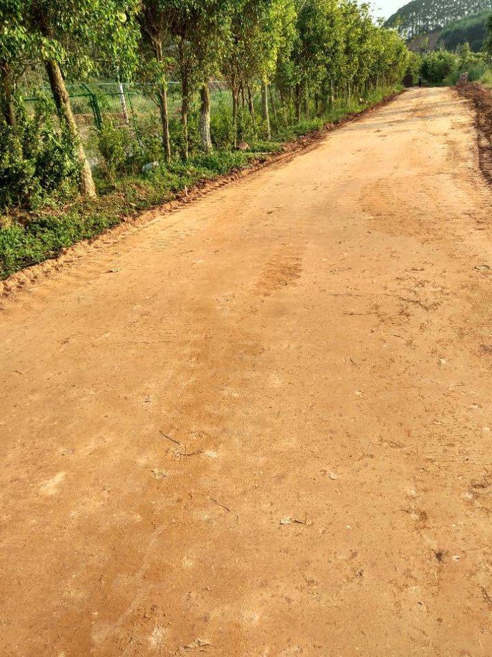 淤泥原位土壤固化软基道路固化查看卓越品质正品保障