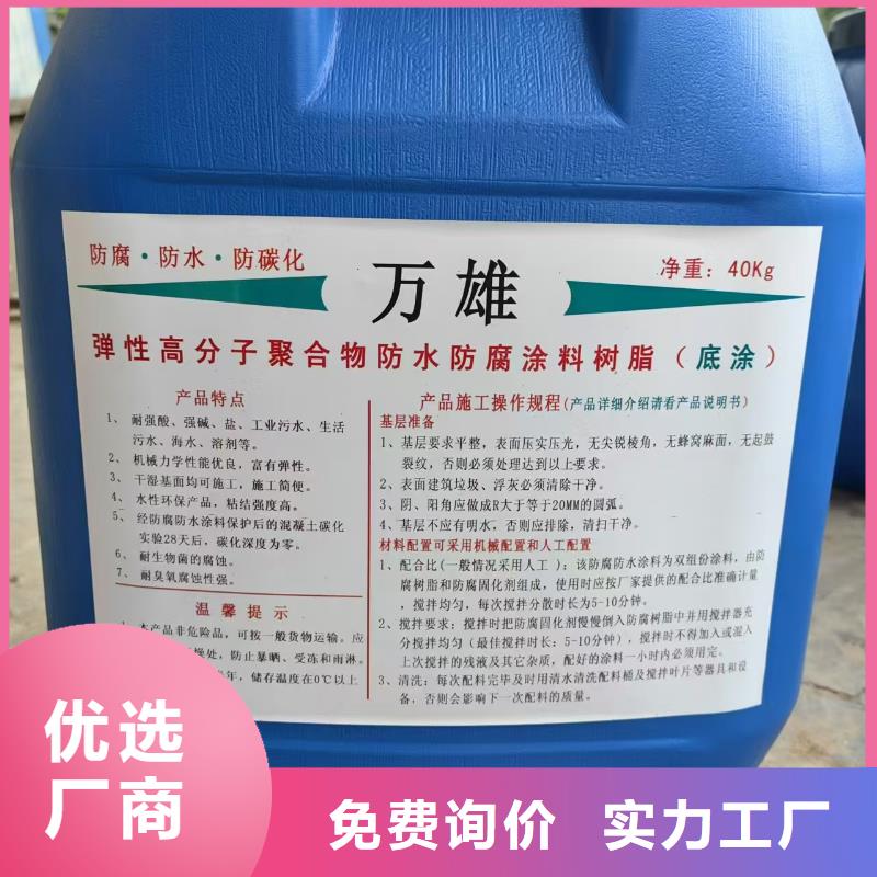 RLFA水性聚乙烯防腐涂料（污水厂）品质保证实力见证规格齐全TNR-合成高分子防水涂膜本地天博体育网页版登陆链接