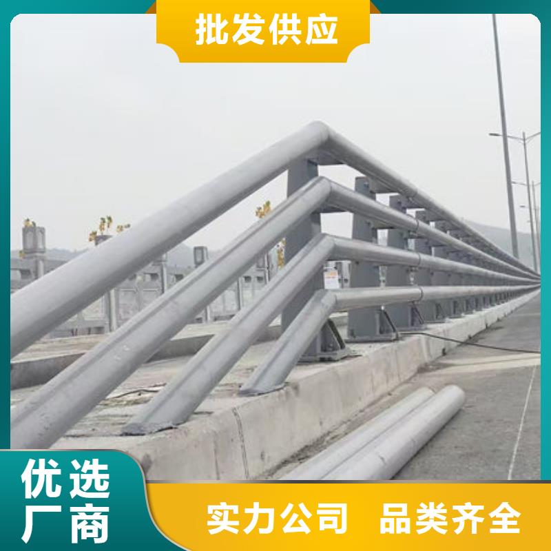 不锈钢公路护栏买的放心我们更专业