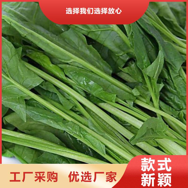 菠菜粉服务为先满足客户所需