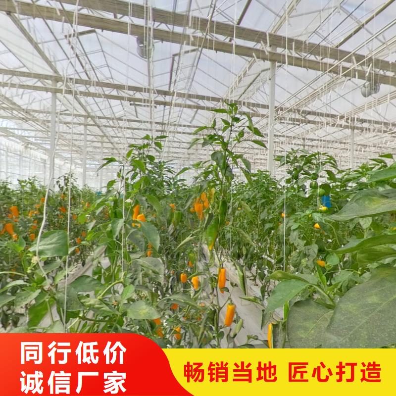 大棚管,农业养殖大棚管源头厂家量大价优当地服务商