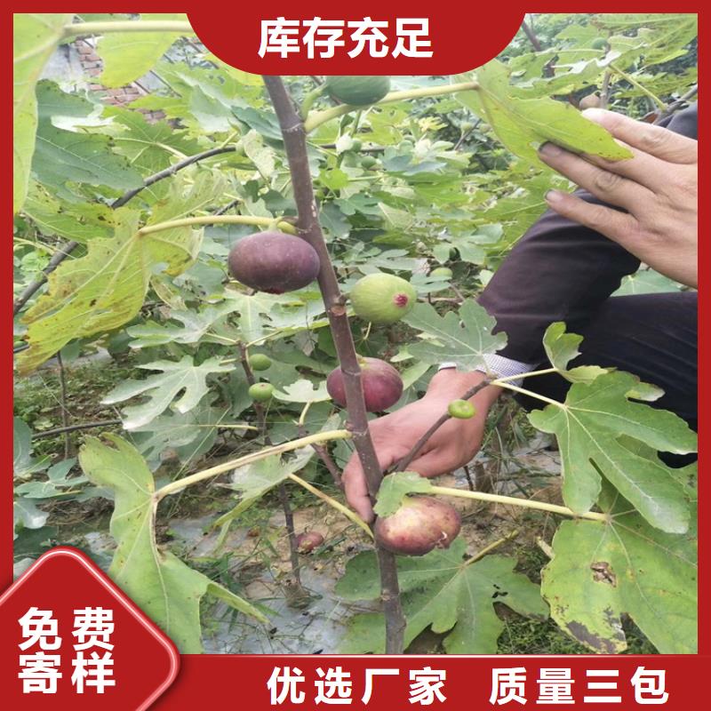 无花果奶油草莓我们更专业细节决定品质