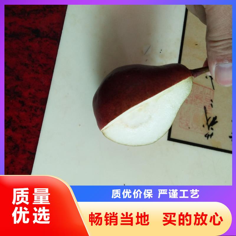 【梨树樱桃苗您想要的我们都有】同城厂家