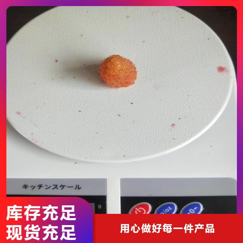 【树莓,桃树苗精工打造】源厂直接供货