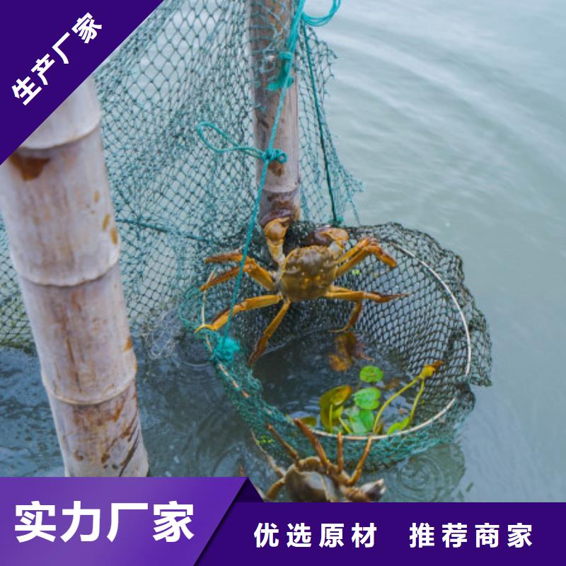 阳澄湖大闸蟹阳澄湖原产地同城厂家