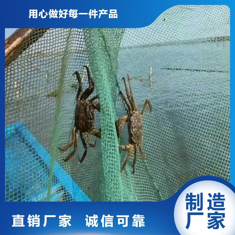 螃蟹现货批发现货销售