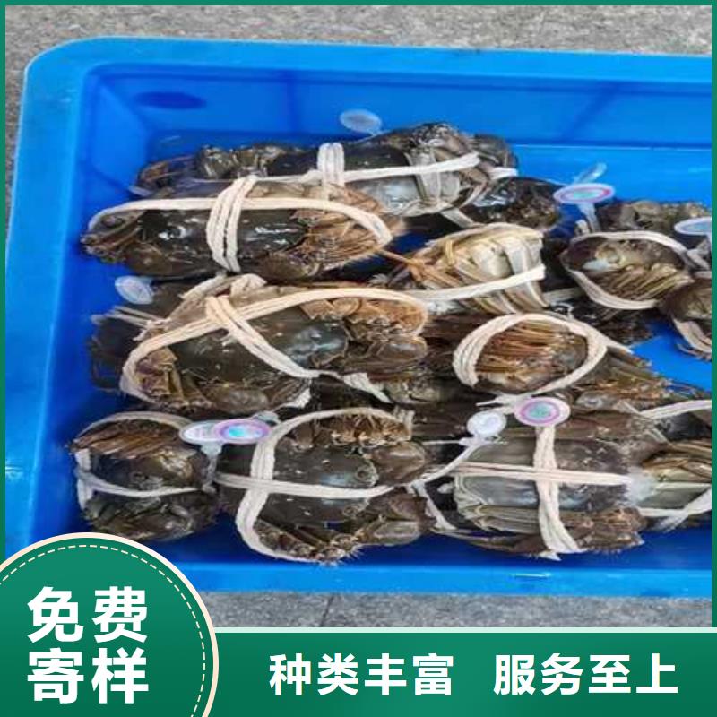 全母大闸蟹礼卡销售附近品牌