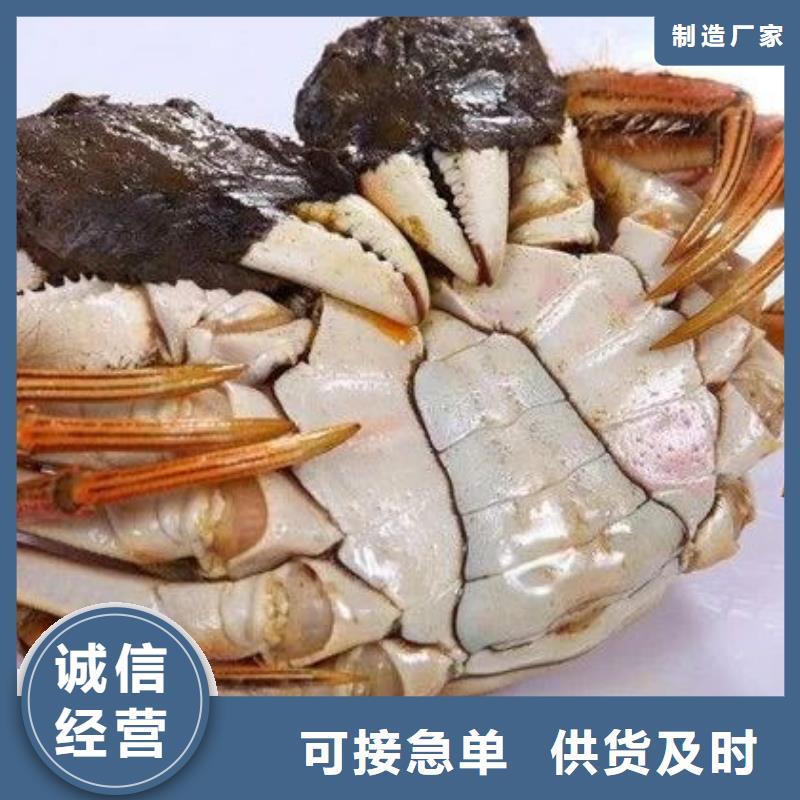 批发阳澄湖大闸蟹_品牌厂家层层质检