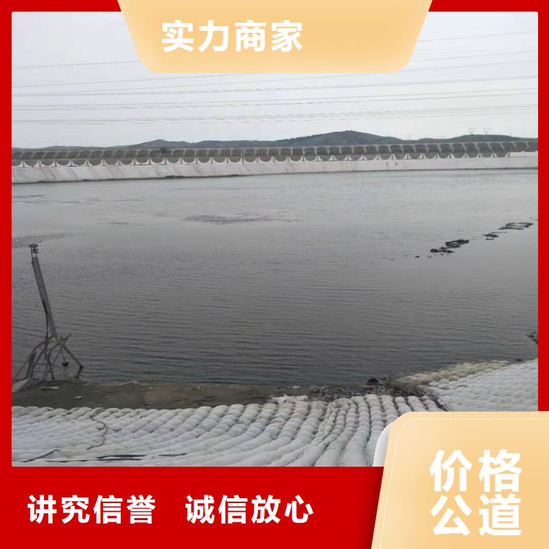 水下堵漏公司专业解决水下各种难题收费合理