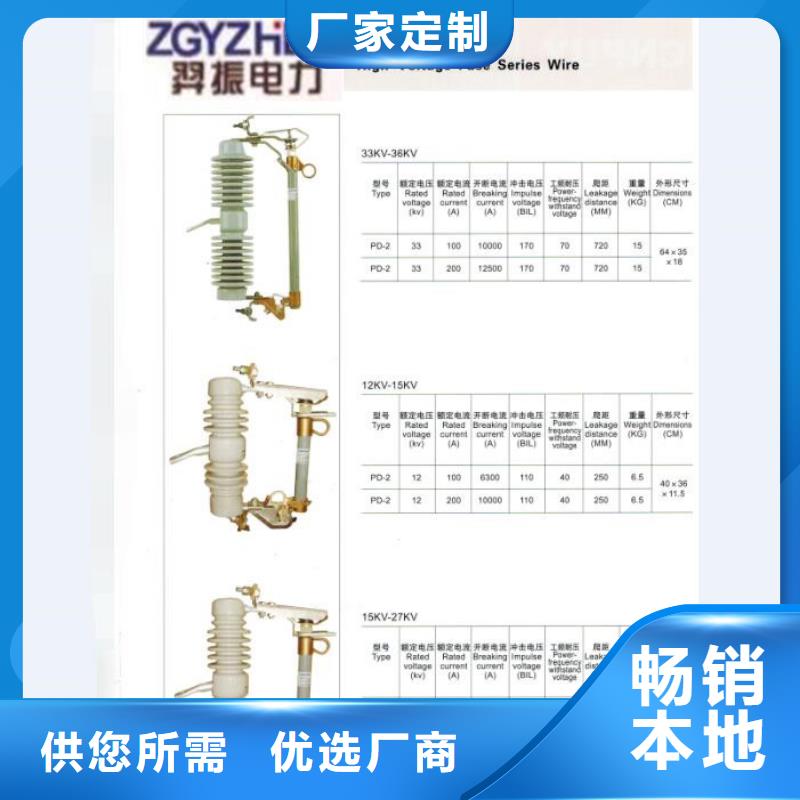 【跌落式熔断器】HRW12-12KV/200A浙江羿振电气有限公司好货直销