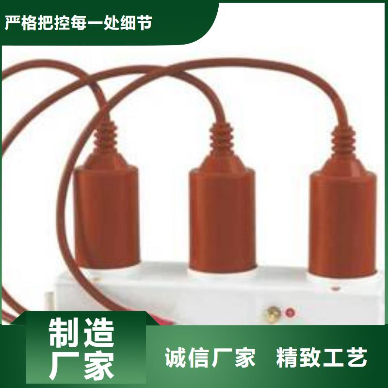 【】保护器(组合式避雷器)TBP-C-7.6F/131-J买的放心安兴用的舒心