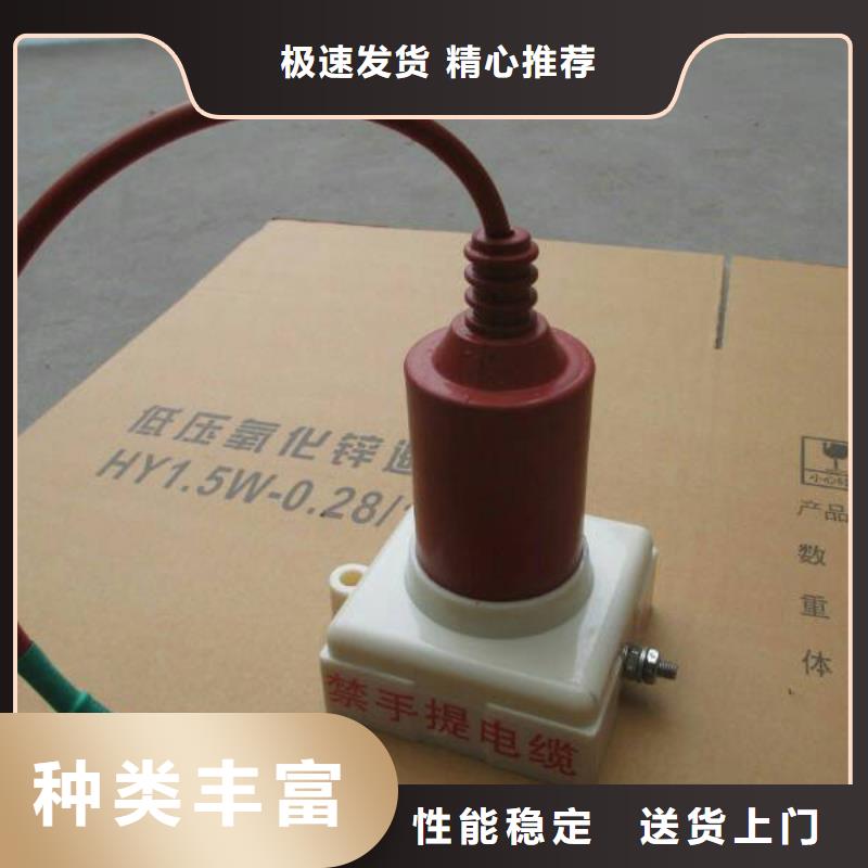 【】保护器(组合式避雷器)TBP-A-10.5/131全品类现货