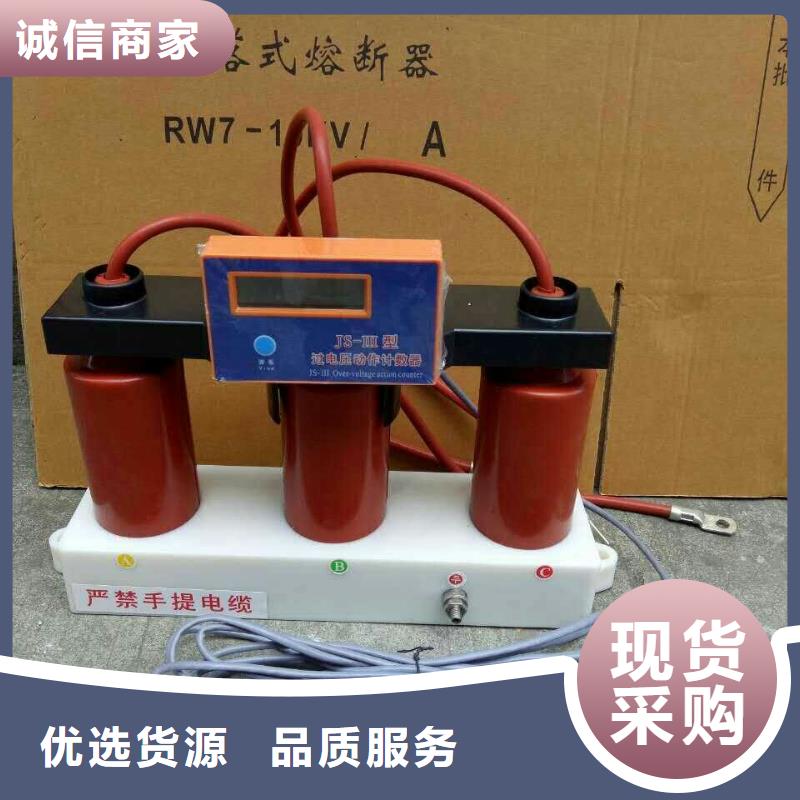 【】过电压保护器(组合式避雷器)BSTG-B-7.6/800多年经验值得信赖