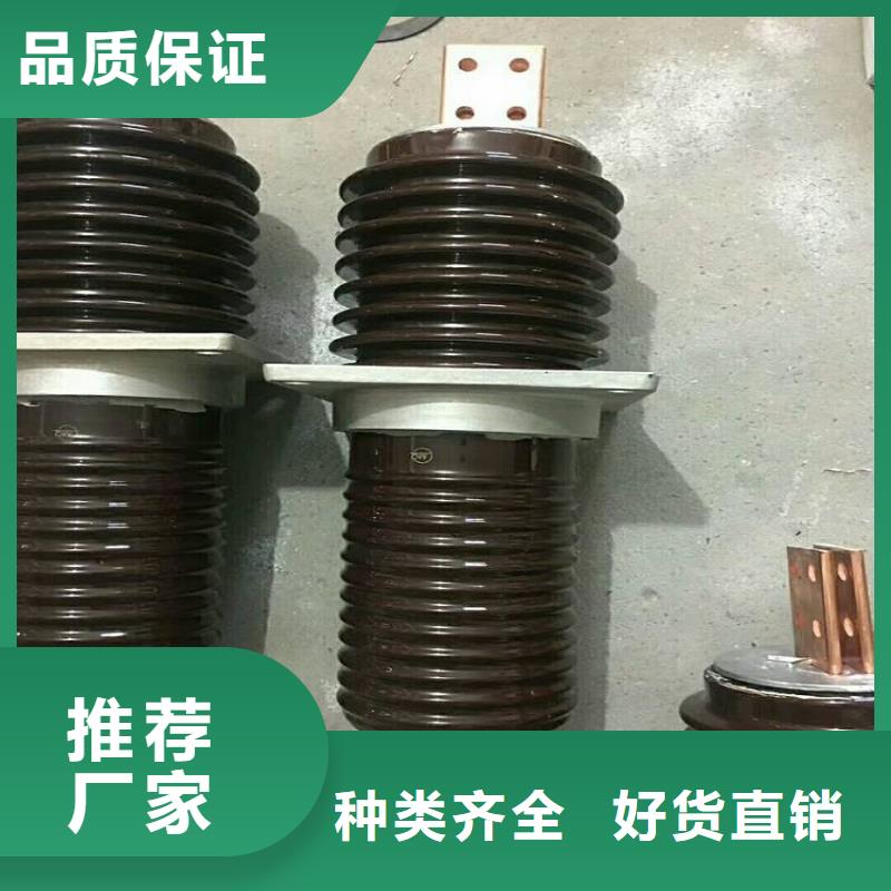 交流穿墙套管,AC10KV,陶瓷,1600A,无CT,铜.来图定制量大从优