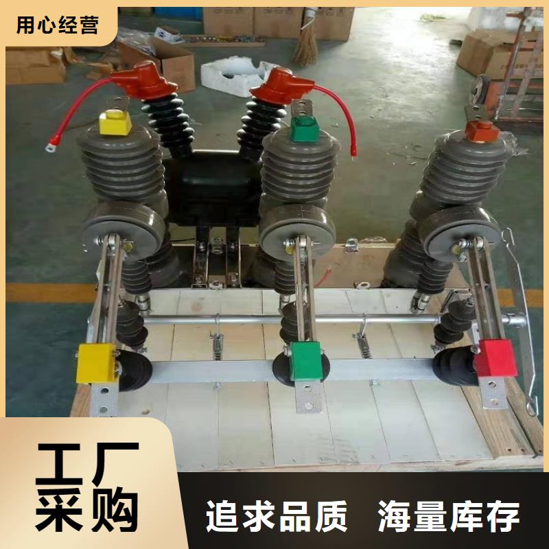 品牌：【羿振电气】交流断路器/柱上断路器.AC10kV.630A.20kA.真空.无隔离闸刀.户外.电动专业信赖厂家