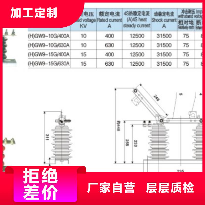 【隔离刀闸】HGW9-10W/200A物流配货上门