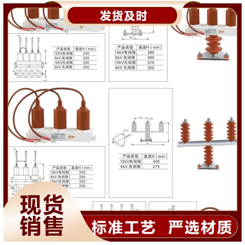 【】过电压保护器(组合式避雷器)TBP-B-35/200一站式采购商家