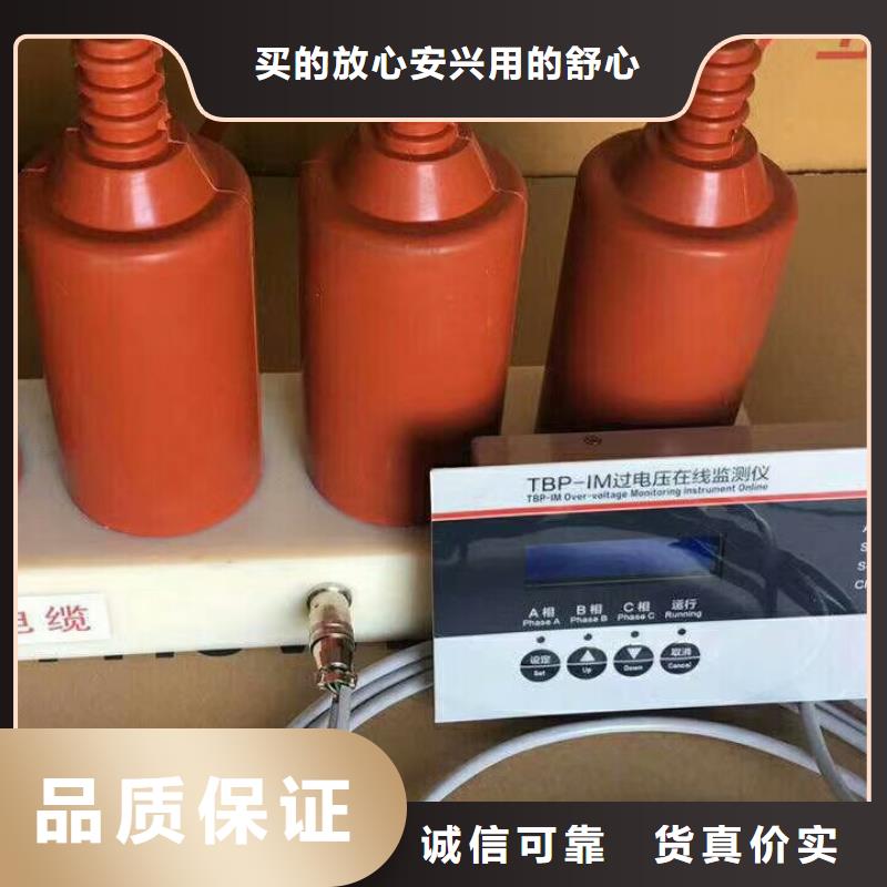 【羿振电气】过电压保护器TBP-A-42/630W2满足客户所需