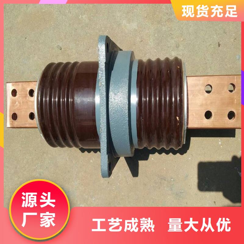 【穿墙套管】CWWL-40.5KV/630品质服务