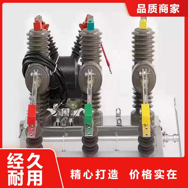 【高压真空断路器】ZW32-12F当地经销商