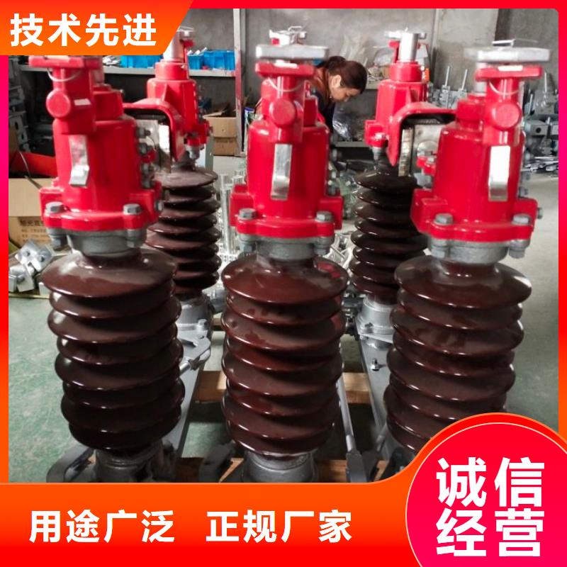 【】高压隔离开关HGW1-12KV/630A实力厂商