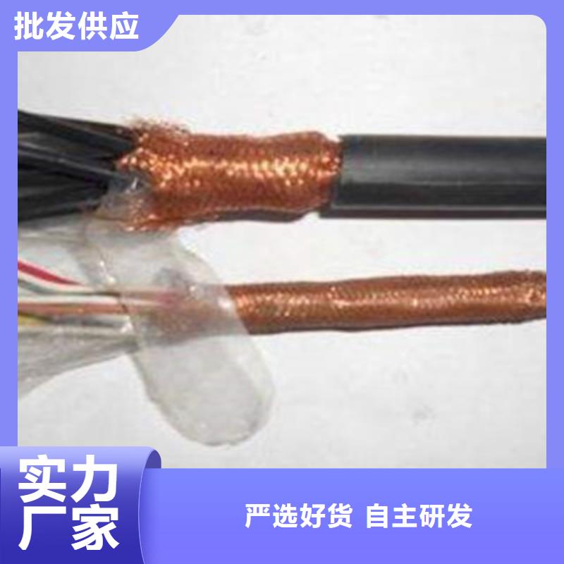 DJYJVP3R计算机屏蔽电缆5X2X1.0颜色尺寸款式定制